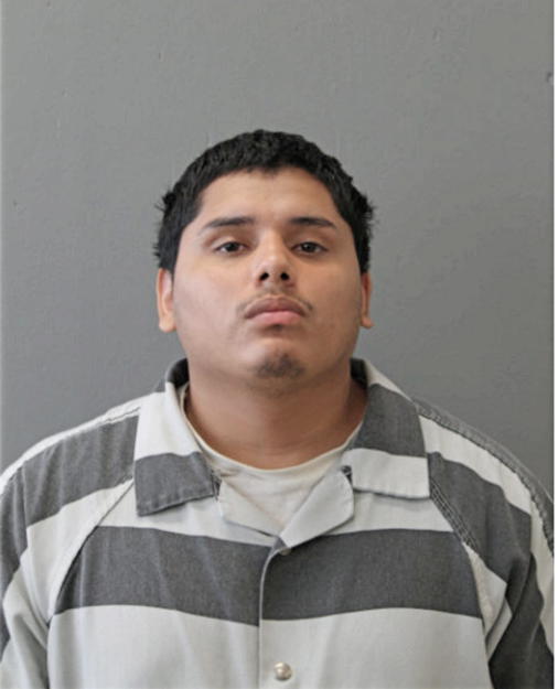 RAUL MOLINA, Cook County, Illinois