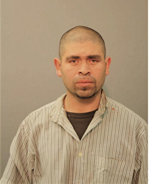 FRANCISCO PANUCO, Cook County, Illinois