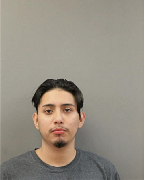 ANIBAL A RAMAS, Cook County, Illinois