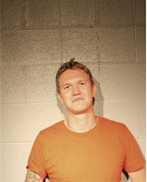 DAVID C RIPPE, Cook County, Illinois