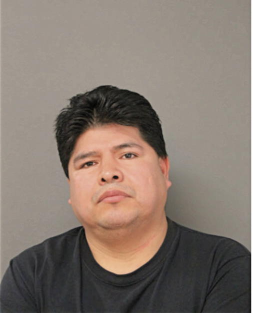 LUIS A SINCHE, Cook County, Illinois