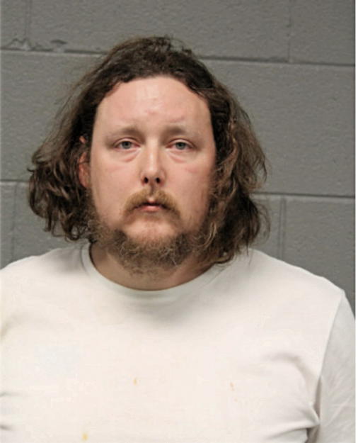 NICHOLAS R STEVENSON, Cook County, Illinois