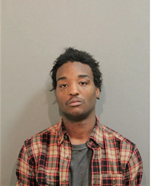 AARON L WALLACE, Cook County, Illinois