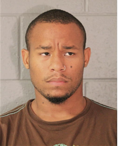 MICHAEL T WATKINS, Cook County, Illinois