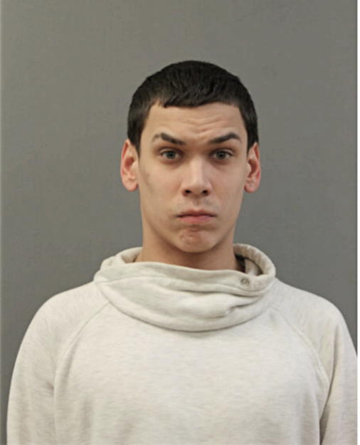 JOEY J WOELKE, Cook County, Illinois