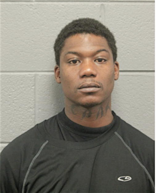 PAUL D ANDERSON, Cook County, Illinois