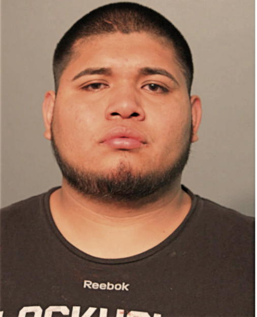 IRVING AVILES, Cook County, Illinois