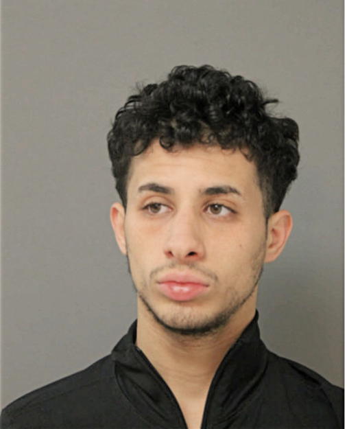 OUSSAMA DJAID, Cook County, Illinois