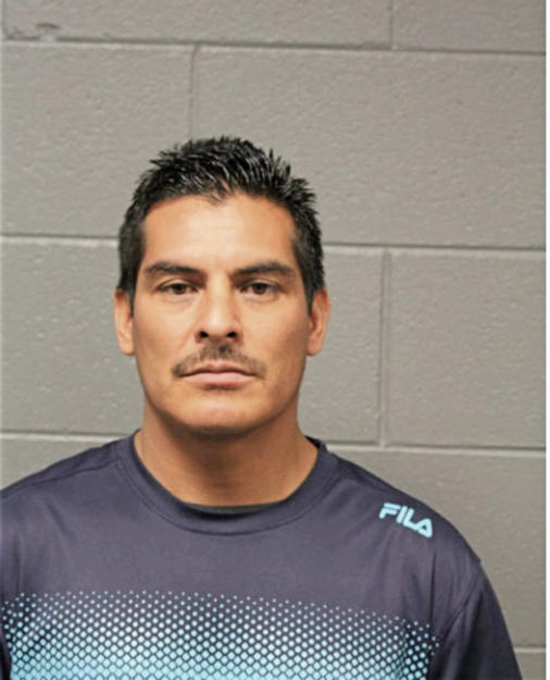 FERNANDO MONJARAS GODINEZ, Cook County, Illinois