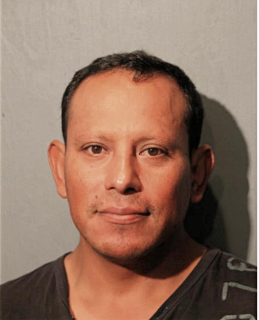 RENE GONZALEZ, Cook County, Illinois
