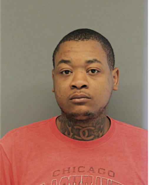 SEAN C HUMES, Cook County, Illinois