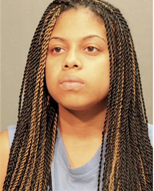 ABRIANA A JOHNSON, Cook County, Illinois