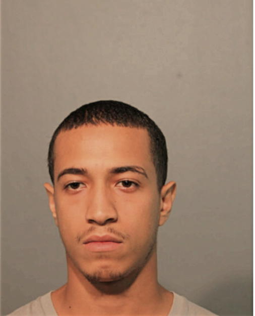 DANIEL L LAUREANO, Cook County, Illinois
