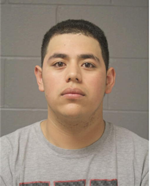 CARLOS A LOPEZ, Cook County, Illinois