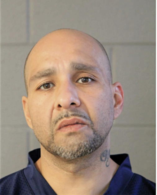 LEONARDO MAGANA, Cook County, Illinois
