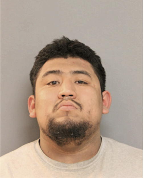 ERICK MAPEL, Cook County, Illinois