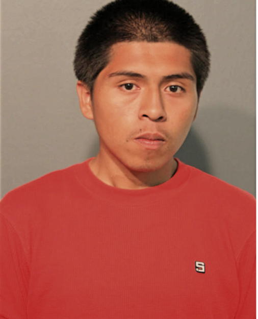 HUGOCESAR MARIANO, Cook County, Illinois