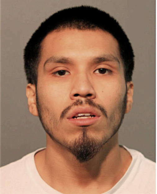 NELSON MENDOZA, Cook County, Illinois