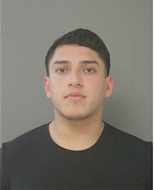 DAMIAN MOJICA, Cook County, Illinois