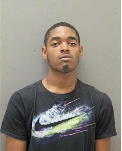DAVID D NATHANIEL, Cook County, Illinois