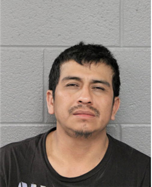 ANDREY G NAVA, Cook County, Illinois