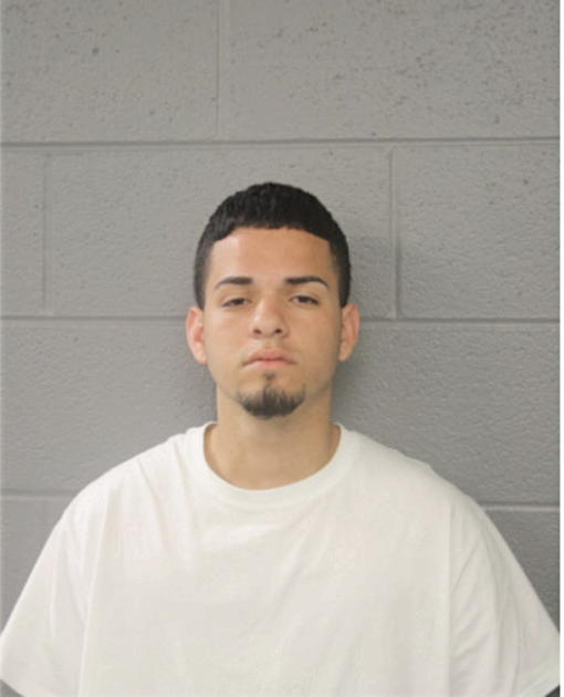 CARLOS NEGRON, Cook County, Illinois