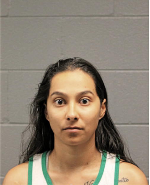 DAYANA J OLVERA OCHOA, Cook County, Illinois