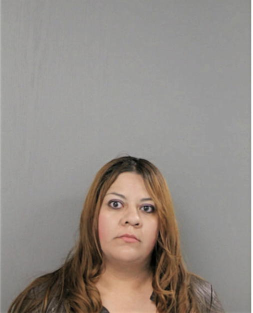 ANADRY ORTEGA, Cook County, Illinois