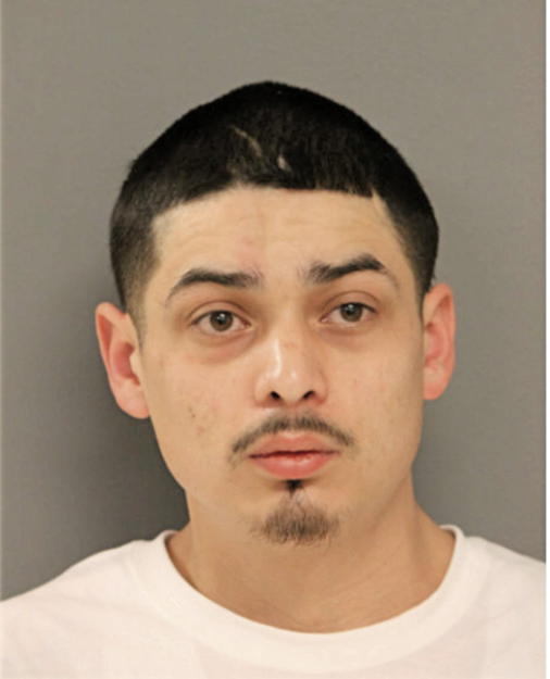 JOSE G PATINA, Cook County, Illinois