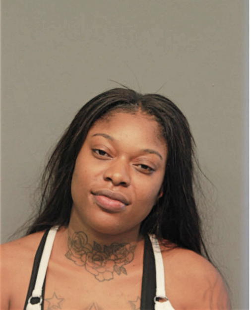 RAVEN R RUSSELL, Cook County, Illinois