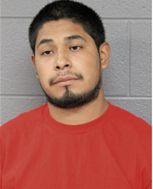 JORGE TORRES, Cook County, Illinois