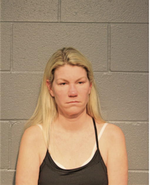 SHEILA M WOLNIEWICZ, Cook County, Illinois