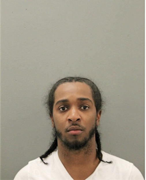 DEANGELO N ASHFORD, Cook County, Illinois