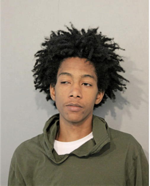 ALHOUSSEIN BAH, Cook County, Illinois
