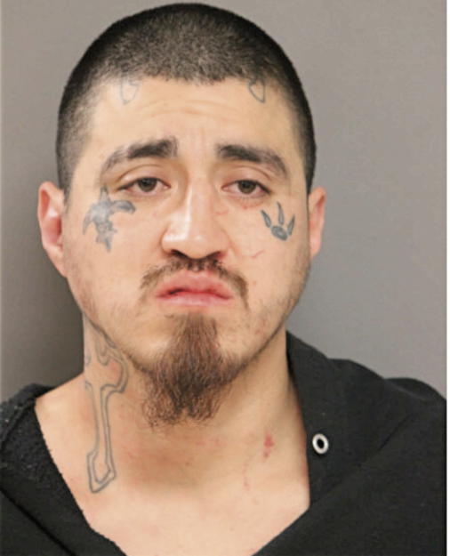 VICTOR M CARRILLO, Cook County, Illinois