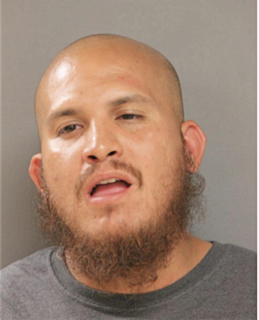 JUAN A CASTELLANOS, Cook County, Illinois