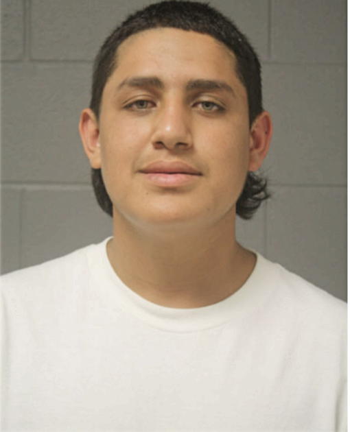 IGNACIO A FERNANDEZ, Cook County, Illinois