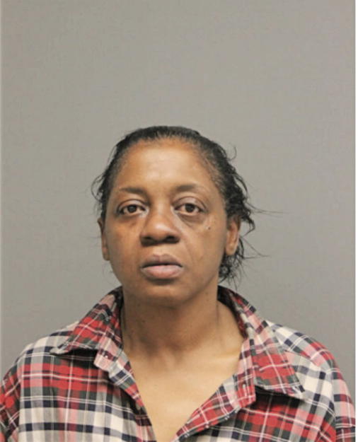 PAMELA J FINNER, Cook County, Illinois