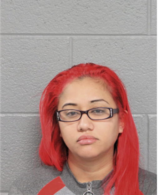 BARBARA E GONZALEZ, Cook County, Illinois