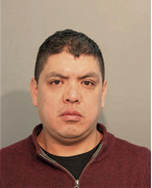 CEREFINO GONZALEZ, Cook County, Illinois