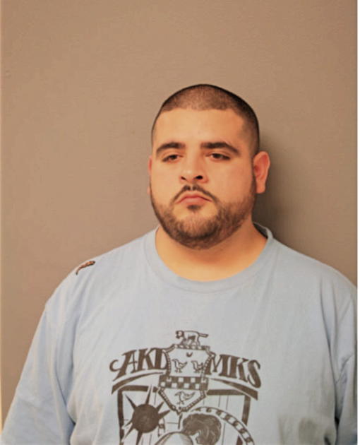 JOSE L GONZALEZ, Cook County, Illinois