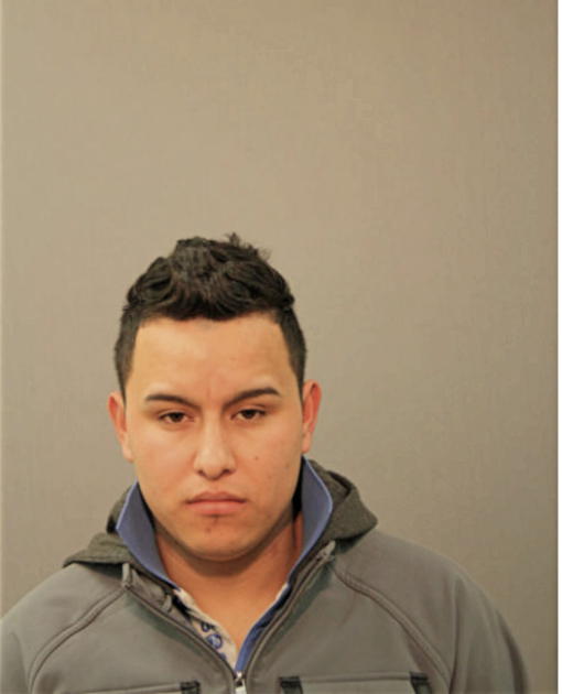 ESTEBAN GONZALEZ-MARTINEZ, Cook County, Illinois