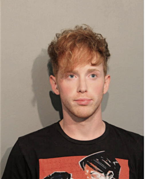 TYLER D HAMLIN, Cook County, Illinois