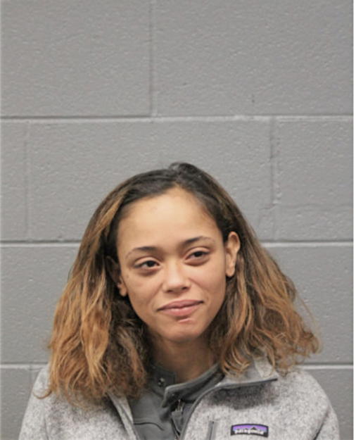 VICTORIA R JOHNSON, Cook County, Illinois