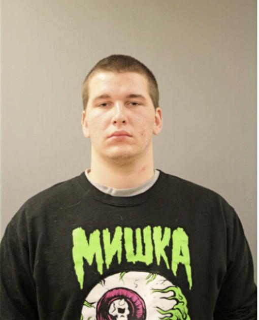 WILLIAM M KRAJECKI, Cook County, Illinois