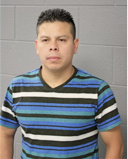 DEMETRIO G LANDA, Cook County, Illinois