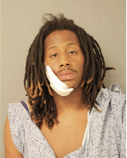 LAVONTAE MITCHELL, Cook County, Illinois