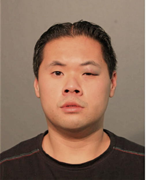 GIANNI V NGUYEN, Cook County, Illinois
