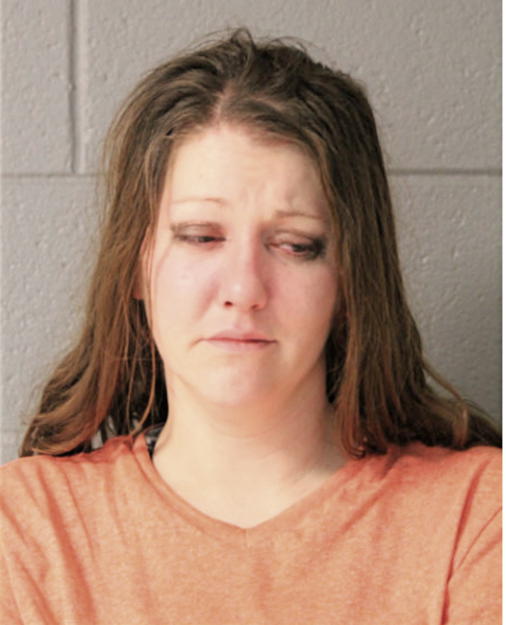 ELIZABETH A NORRICK, Cook County, Illinois