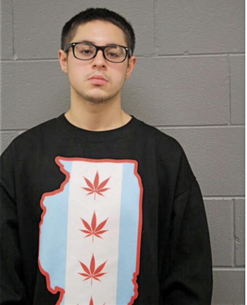 PETER D SALINAS, Cook County, Illinois